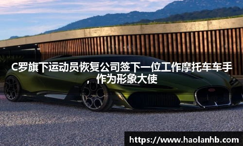 排球比分